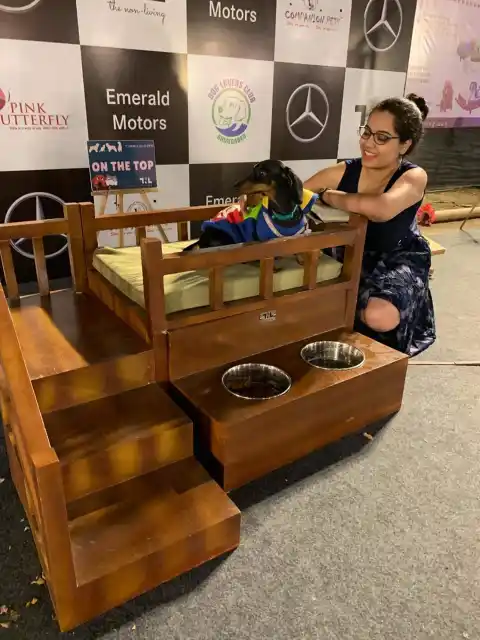 Pet parent with dog using The Non Living pet furniture